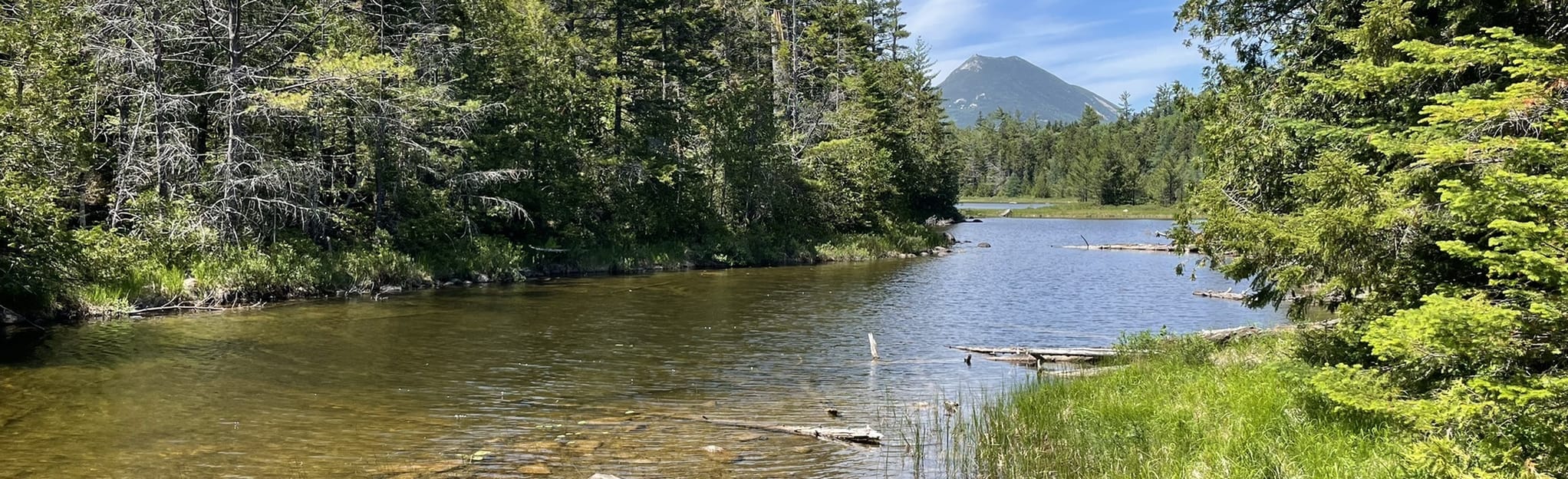 Grassy Pond Loop Trail, Maine 24 Reviews, Map AllTrails