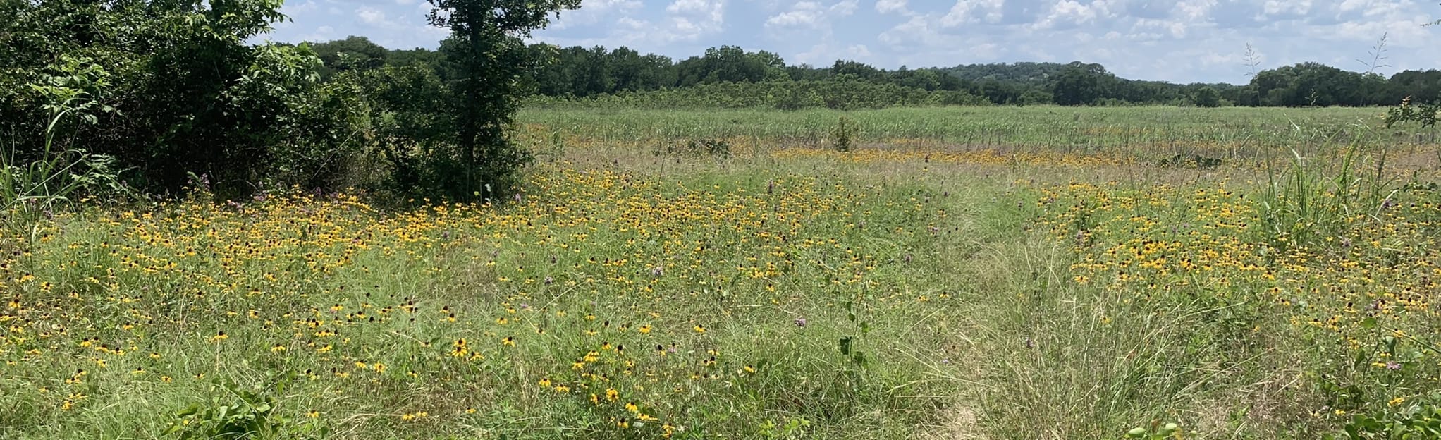 San Gabriel River Trail and Goodwater - EyJidWNrZXQiOiJhc3NldHMuYWxsdHJhaWxzLmNvbSIsImtleSI6InVwbG9hZHMvcGhvdG8vaW1hZ2UvMzc0ODM2ODAvOTc0YjhiZjU4MzM0OWQ4N2JkYTE1YmNiN2ZiNzZkMDIuanBnIiwiZWRpdHMiOnsidG9Gb3JtYXQiOiJqcGVnIiwicmVzaXplIjp7IndpZHRoIjoyMDQ0LCJoZWlnaHQiOjYyNCwiZml0IjoiY292ZXIifSwicm90YXRlIjpudWxsLCJqcGVnIjp7InRyZWxsaXNRdWFudGlzYXRpb24iOnRydWUsIm92ZXJzaG9vdERlcmluZ2luZyI6dHJ1ZSwib3B0aW1pc2VTY2FucyI6dHJ1ZSwicXVhbnRpc2F0aW9uVGFibGUiOjN9fX0=
