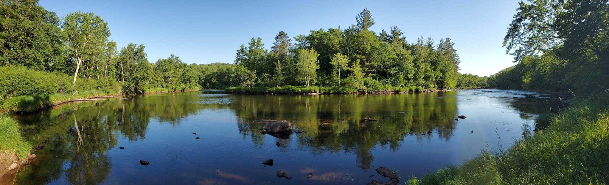 Skunk Cabbage Trail, Minnesota 64 Reviews, Map AllTrails