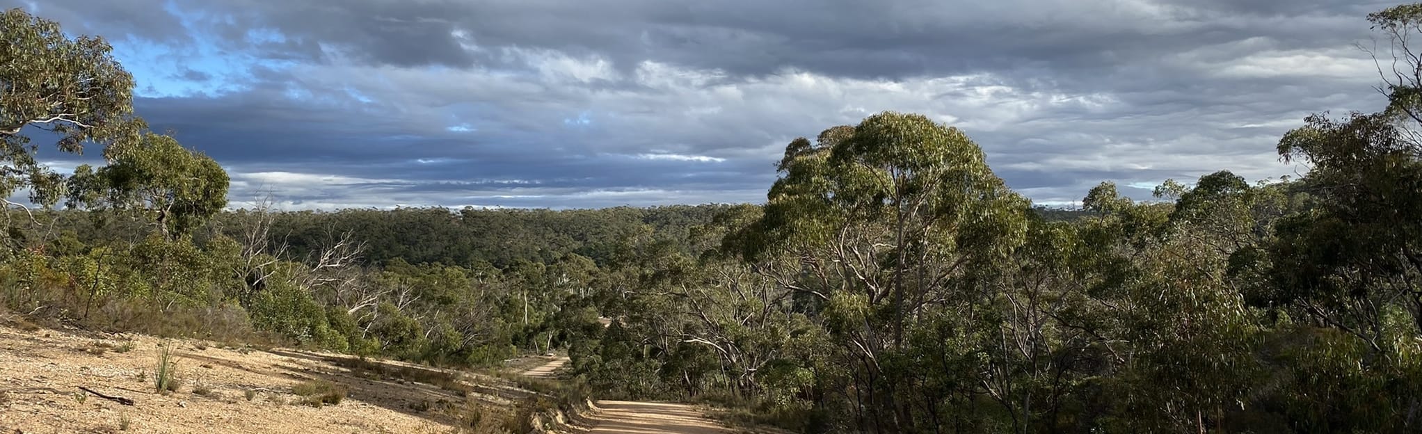 Malcolm Creek via Kersbrook Forest 2 Reviews, Map South Australia