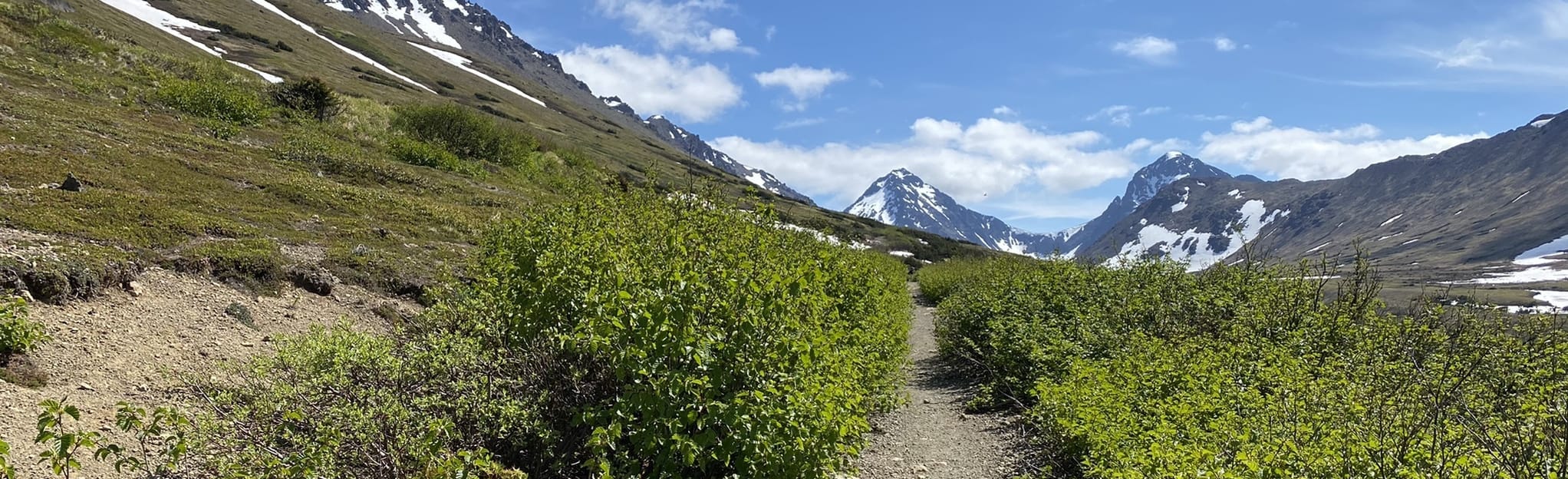 Rabbit Lake Trail, Alaska - 1,527 Reviews, Map | AllTrails