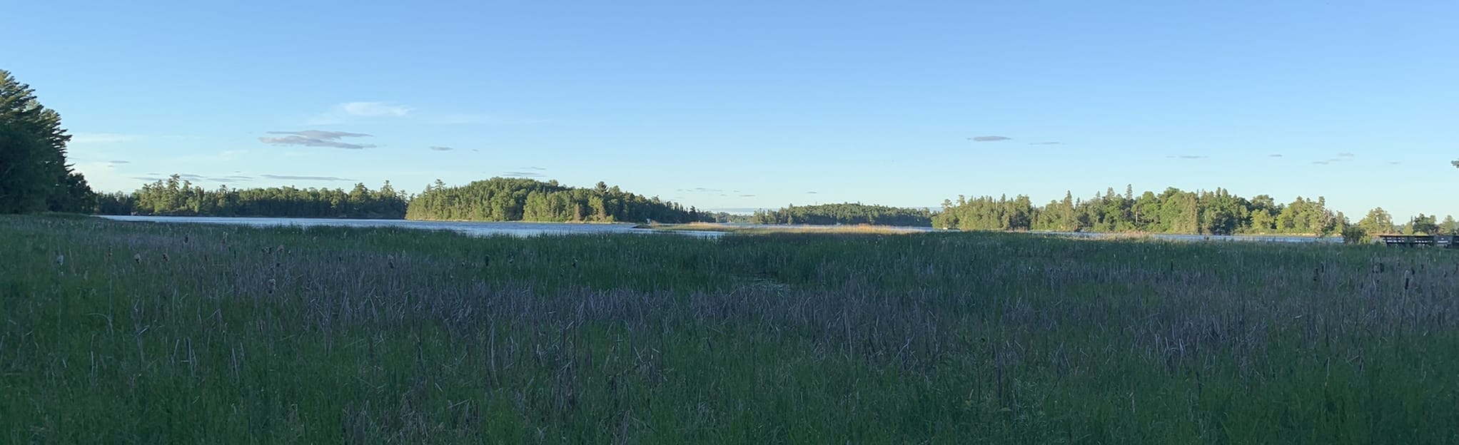 AllTrails Bur Oak Trail 106 Reviews, Map Ontario, Canada