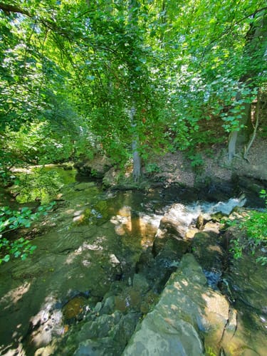 Föllbach Schlucht