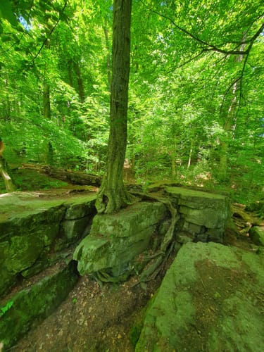 Föllbach Schlucht