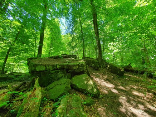 Föllbach Schlucht