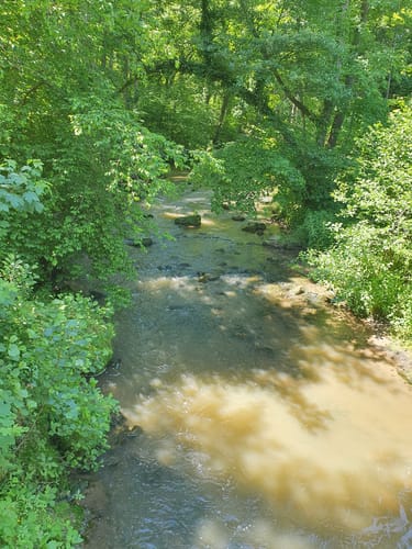Föllbach Schlucht