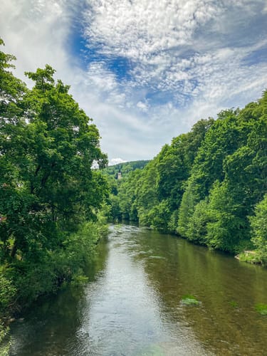 Zwickauer Mulde - Floßgraben