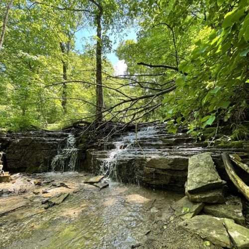 Best Hikes and Trails in Caron Park AllTrails