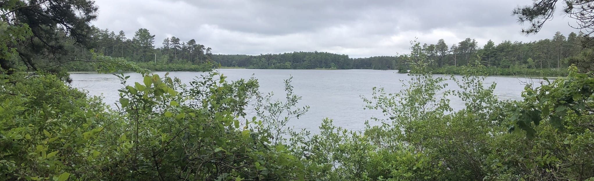 East Head Pond Trail Map, Guide Massachusetts AllTrails