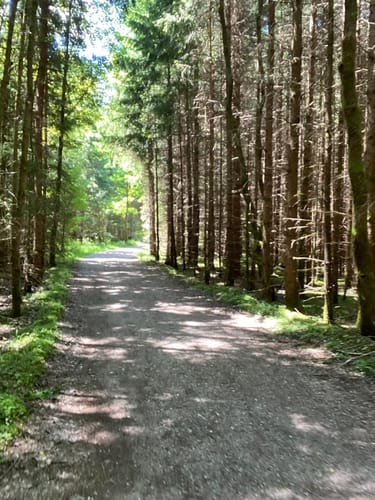 Hohenbrunner Rundwanderweg (lange Variante)