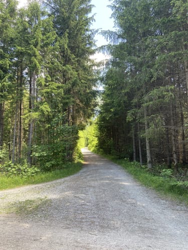 Hohenbrunner Rundwanderweg (lange Variante)