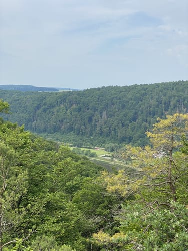 Rundweg Riedenburg 13 - große Jachenhausener Runde