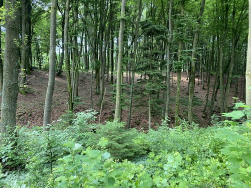 Rundweg Riedenburg 13 - große Jachenhausener Runde