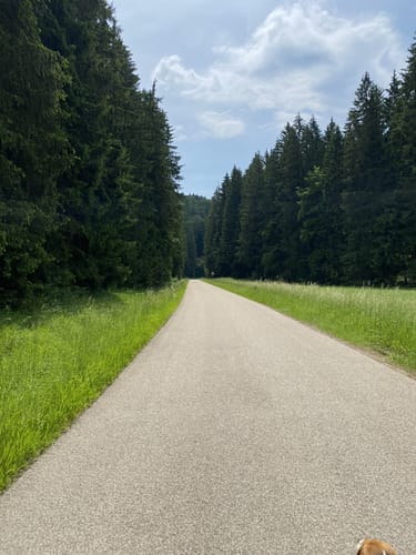 Rundweg Riedenburg 13 - große Jachenhausener Runde