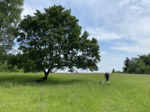 Rundweg Riedenburg 13 - große Jachenhausener Runde