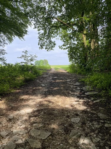 Rundweg Riedenburg 13 - große Jachenhausener Runde