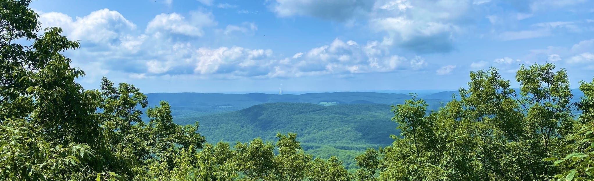 Lone Mountain Trail Tennessee AllTrails