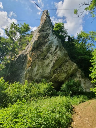 Donaufelsen-Tour (DonauWelle)