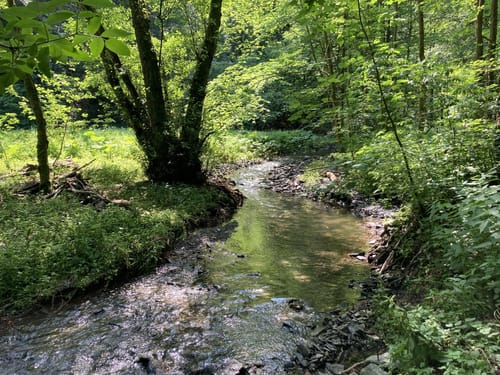 Sondertal ab Wanderparkplatz Stahlquelle