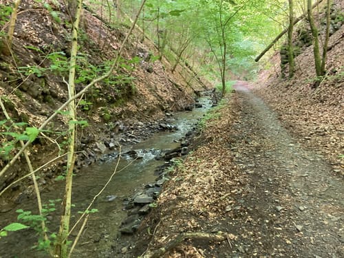 Sondertal ab Wanderparkplatz Stahlquelle