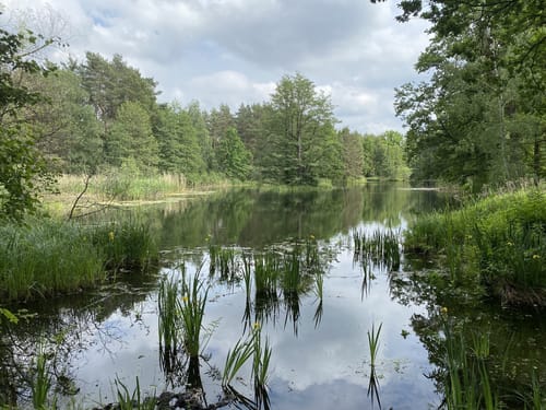 Havelpromenade - Spandauer Forst - Falkenhagener See