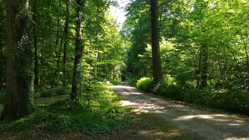 Rund um Poltersdorf