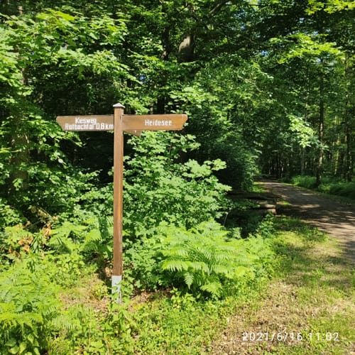 Kirchheller Heide Rundwanderung