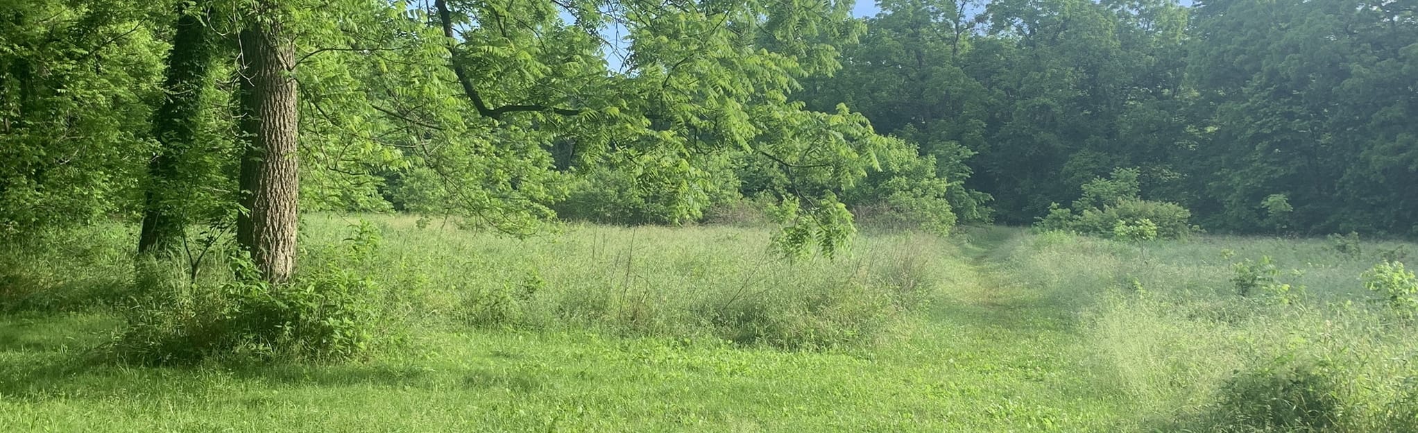 Gibson Spring, Missouri 29 Reviews, Map AllTrails