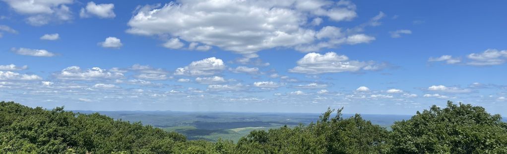 are dogs allowed at wachusett mountain