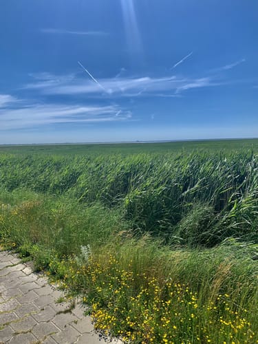 Von Greetsiel vorm Deich nach Norddeich
