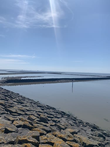 Von Greetsiel vorm Deich nach Norddeich