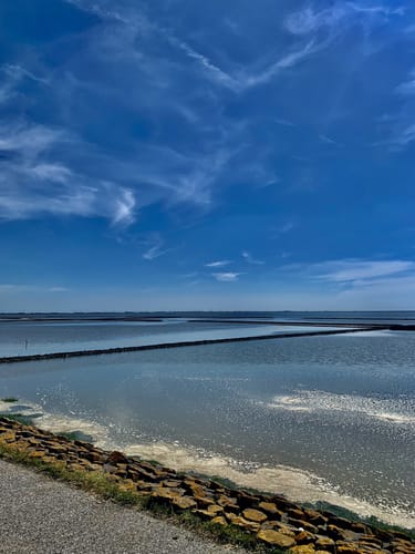 Von Greetsiel vorm Deich nach Norddeich