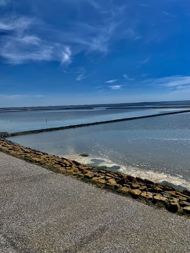 Von Greetsiel vorm Deich nach Norddeich