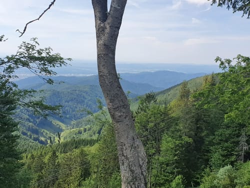 Feldberg Schauinsland