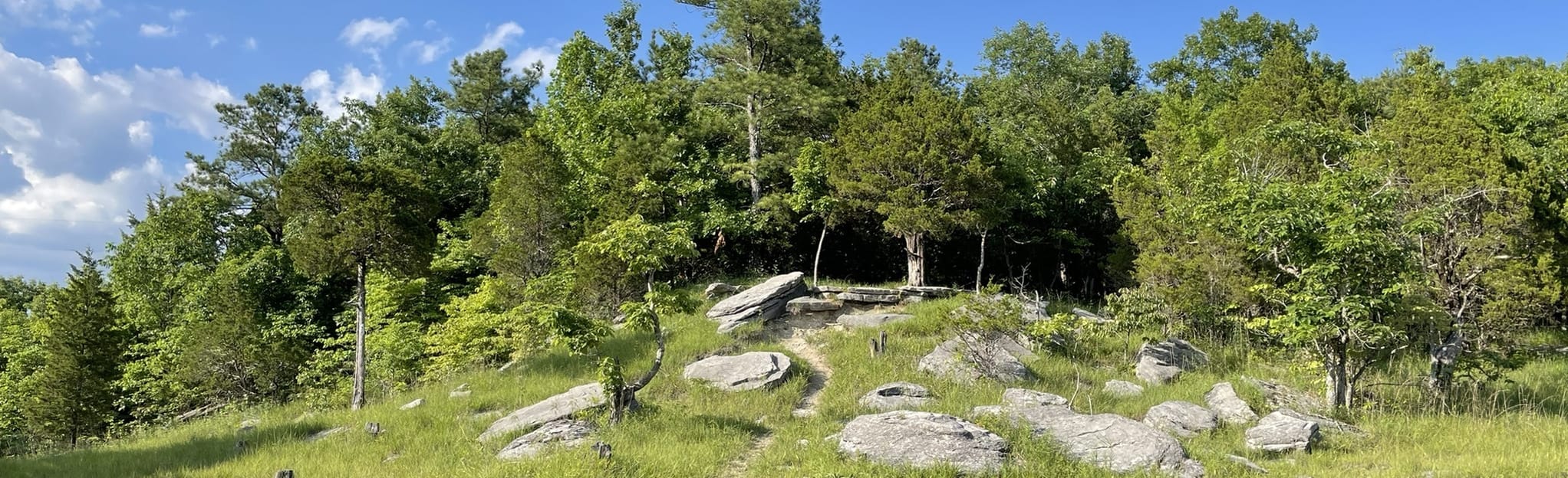 Devil’s Race Track , Alabama - 697 Reviews, Map | AllTrails