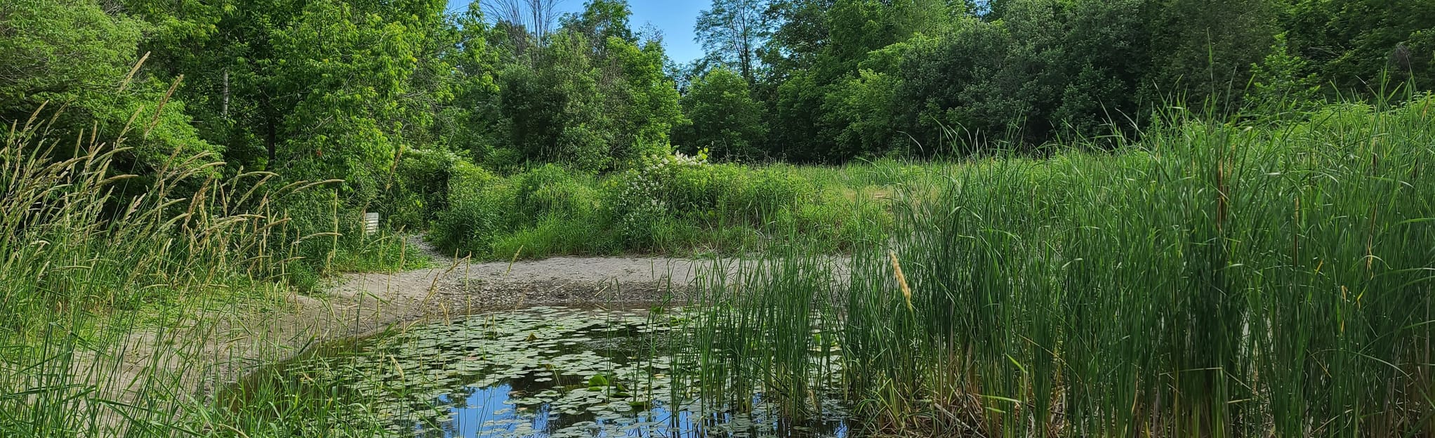 Rouge Valley Trail from Milne Dam Conservation Park: 263 Reviews, Map ...