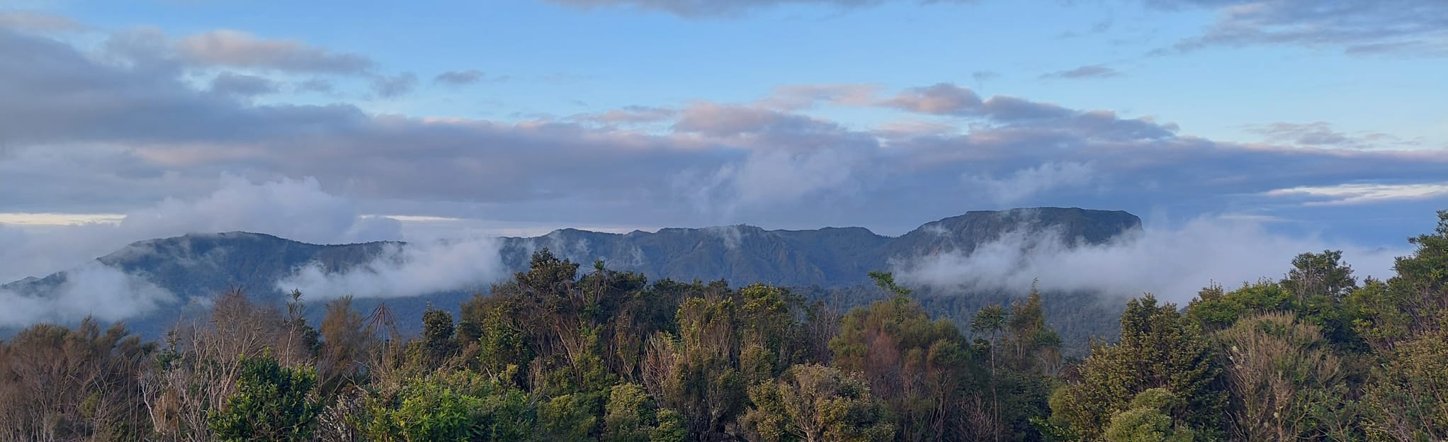 Te Puru Track to Crosbies Hut, Waikato, New Zealand 5 Reviews, Map