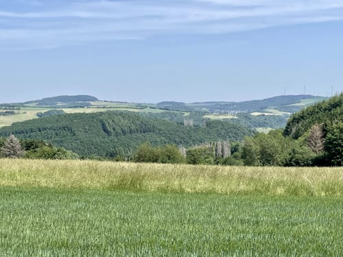 Langscheider Wacholderblick (Premiumspazierwanderweg)