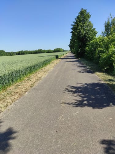 RTF RSC Kerpen 41er Strecke
