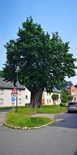Elsterperlenweg (Fernwanderweg)