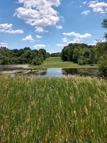 Sleepy Hollow State Park: Where History Whispers and Nature Sings