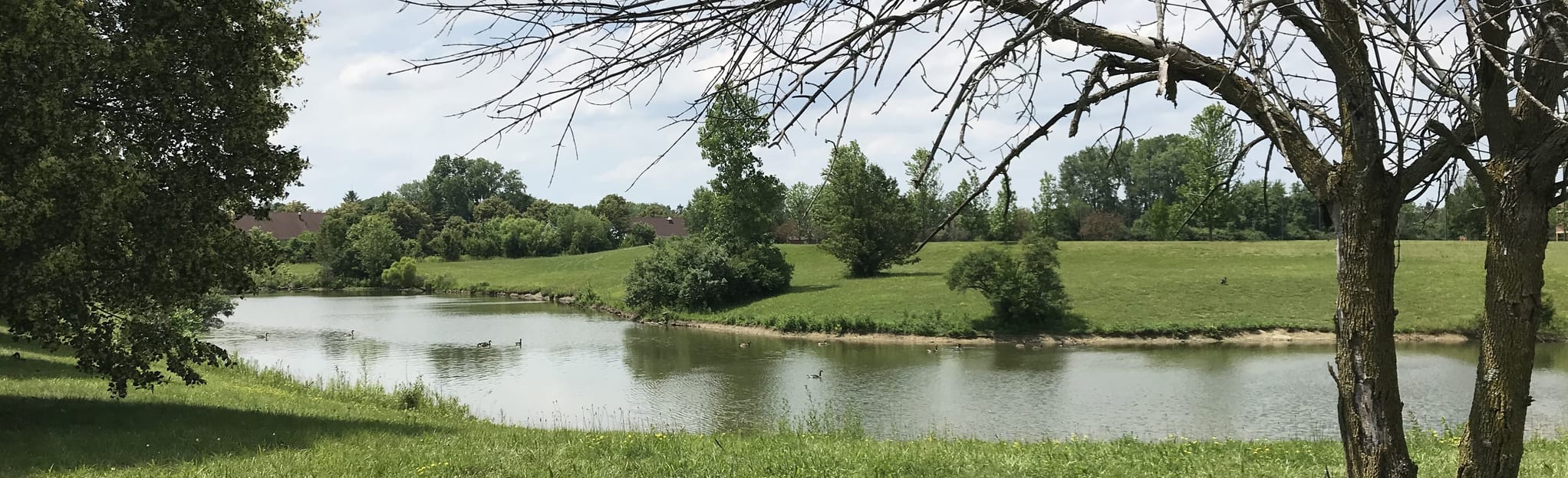 Iron Horse, Ohio 228 Reviews, Map AllTrails