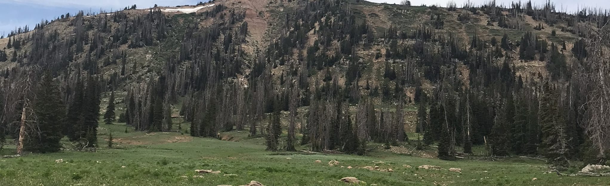 AllTrails South Tent Mountain Summit from Skyline Drive 4 Reviews, Map Utah