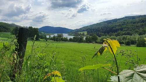 Heringhausen H6: Rund um den Diemelsee