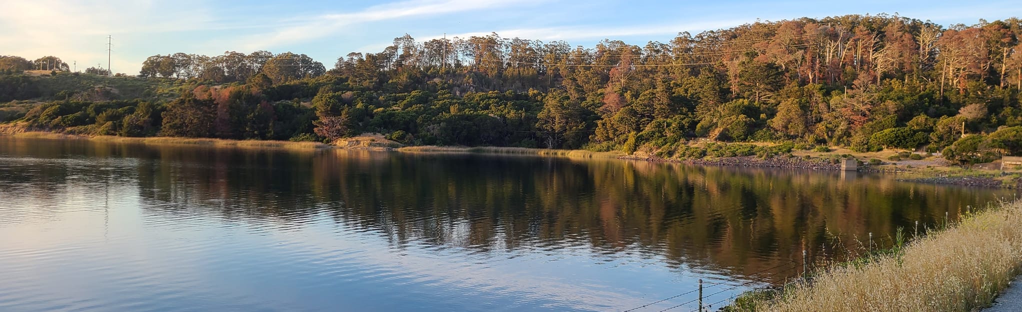 Sawyer Camp Trail San Andreas Lake to Lower Crystal Springs Reservoir