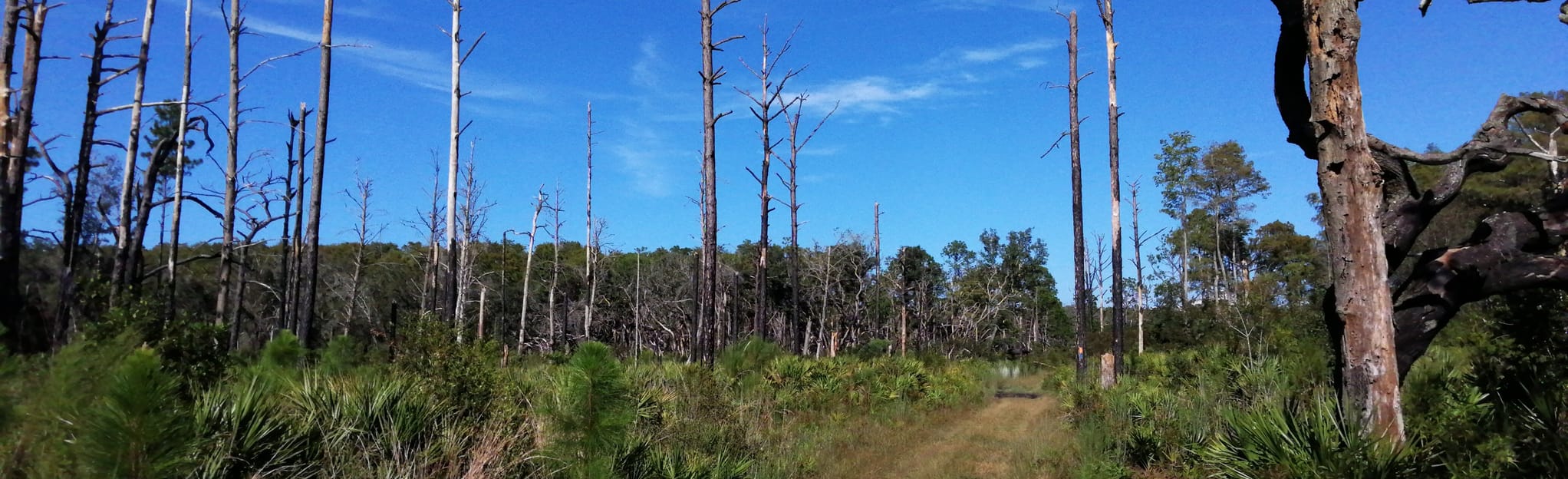 Starkey Park Lake Loop 290 Reviews - EyJidWNrZXQiOiJhc3NldHMuYWxsdHJhaWxzLmNvbSIsImtleSI6InVwbG9hZHMvcGhvdG8vaW1hZ2UvMzc1ODE5NjUvOWZmYWY0ZTdiZTY1ODNkODBlNjUwNmQ3ODg3NDFmNDAuanBnIiwiZWRpdHMiOnsidG9Gb3JtYXQiOiJqcGVnIiwicmVzaXplIjp7IndpZHRoIjoyMDQ0LCJoZWlnaHQiOjYyNCwiZml0IjoiY292ZXIifSwicm90YXRlIjpudWxsLCJqcGVnIjp7InRyZWxsaXNRdWFudGlzYXRpb24iOnRydWUsIm92ZXJzaG9vdERlcmluZ2luZyI6dHJ1ZSwib3B0aW1pc2VTY2FucyI6dHJ1ZSwicXVhbnRpc2F0aW9uVGFibGUiOjN9fX0=