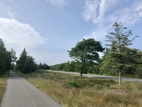 Fanø Rundt
