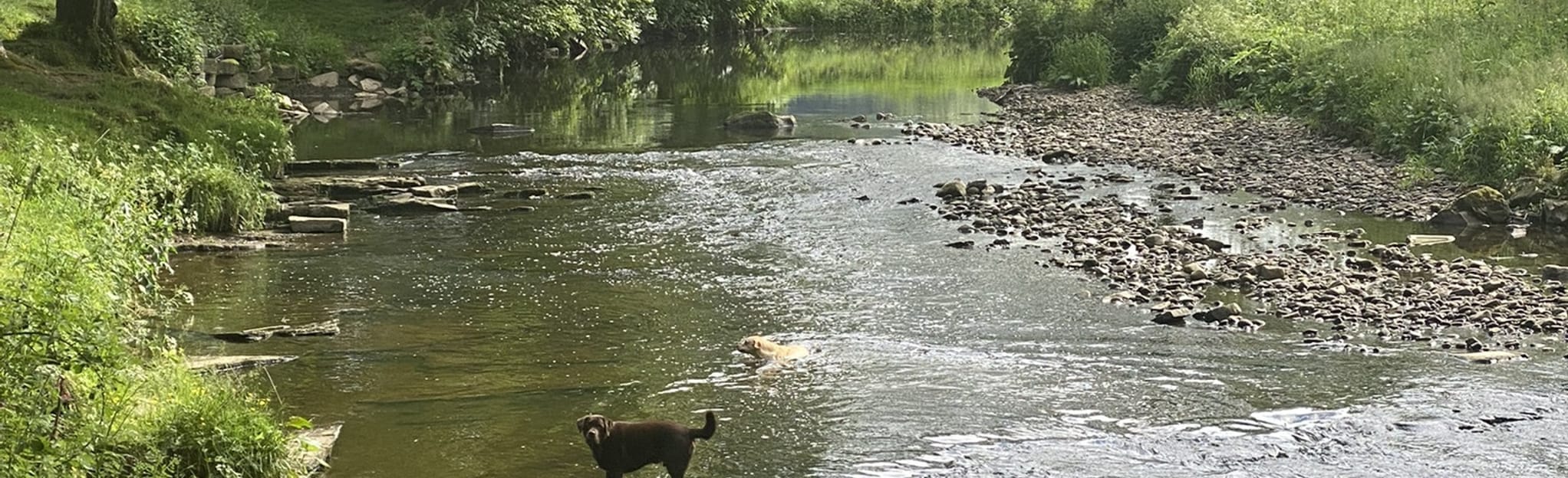 Witton Park and Hoghton Bottoms Circular, Lancashire, England 27