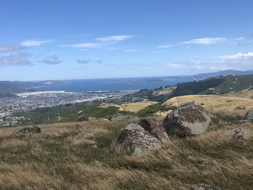 Belmont regional park hot sale mountain bike tracks