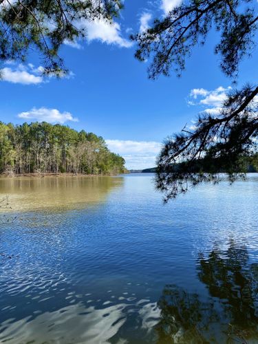 Best 10 Hikes And Trails In Natchez Trace State Park AllTrails   EyJidWNrZXQiOiJhc3NldHMuYWxsdHJhaWxzLmNvbSIsImtleSI6InVwbG9hZHMvcGhvdG8vaW1hZ2UvMzc2MDIyOTkvYTRlMzU2Y2NhYjMzZGNiMDkzNTExYzJhNzU2Y2QzMWUuanBnIiwiZWRpdHMiOnsidG9Gb3JtYXQiOiJqcGVnIiwicmVzaXplIjp7IndpZHRoIjo1MDAsImhlaWdodCI6NTAwLCJmaXQiOiJpbnNpZGUifSwicm90YXRlIjpudWxsLCJqcGVnIjp7InRyZWxsaXNRdWFudGlzYXRpb24iOnRydWUsIm92ZXJzaG9vdERlcmluZ2luZyI6dHJ1ZSwib3B0aW1pc2VTY2FucyI6dHJ1ZSwicXVhbnRpc2F0aW9uVGFibGUiOjN9fX0=